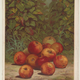 Illustration for article titled Apple
